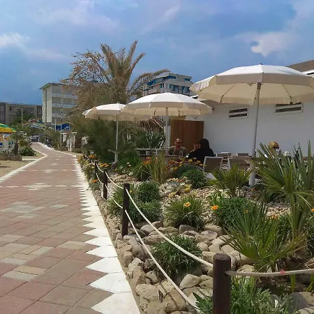 Sunny Andrea's רימיני